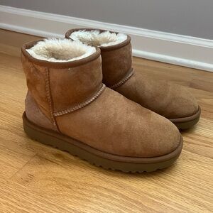 Chestnut Mini Uggs